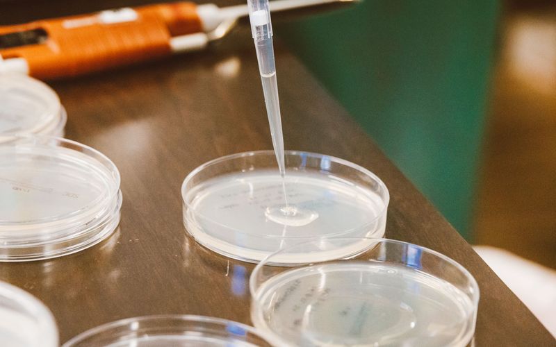 A pipette adding culture medium to dishes in an IVF lab