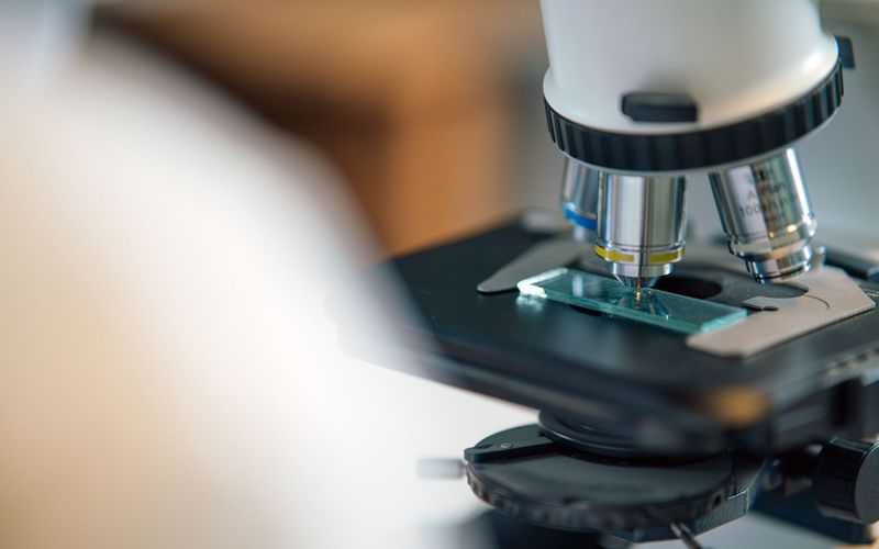 A microscope over a sample slide, as in a semen analysis