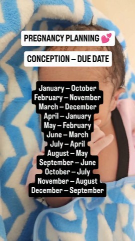 A month-by-month guide to your approximate due date