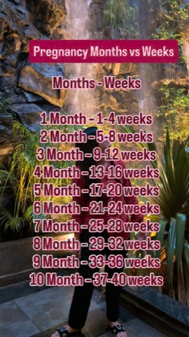Confused about pregnancy months and weeks?